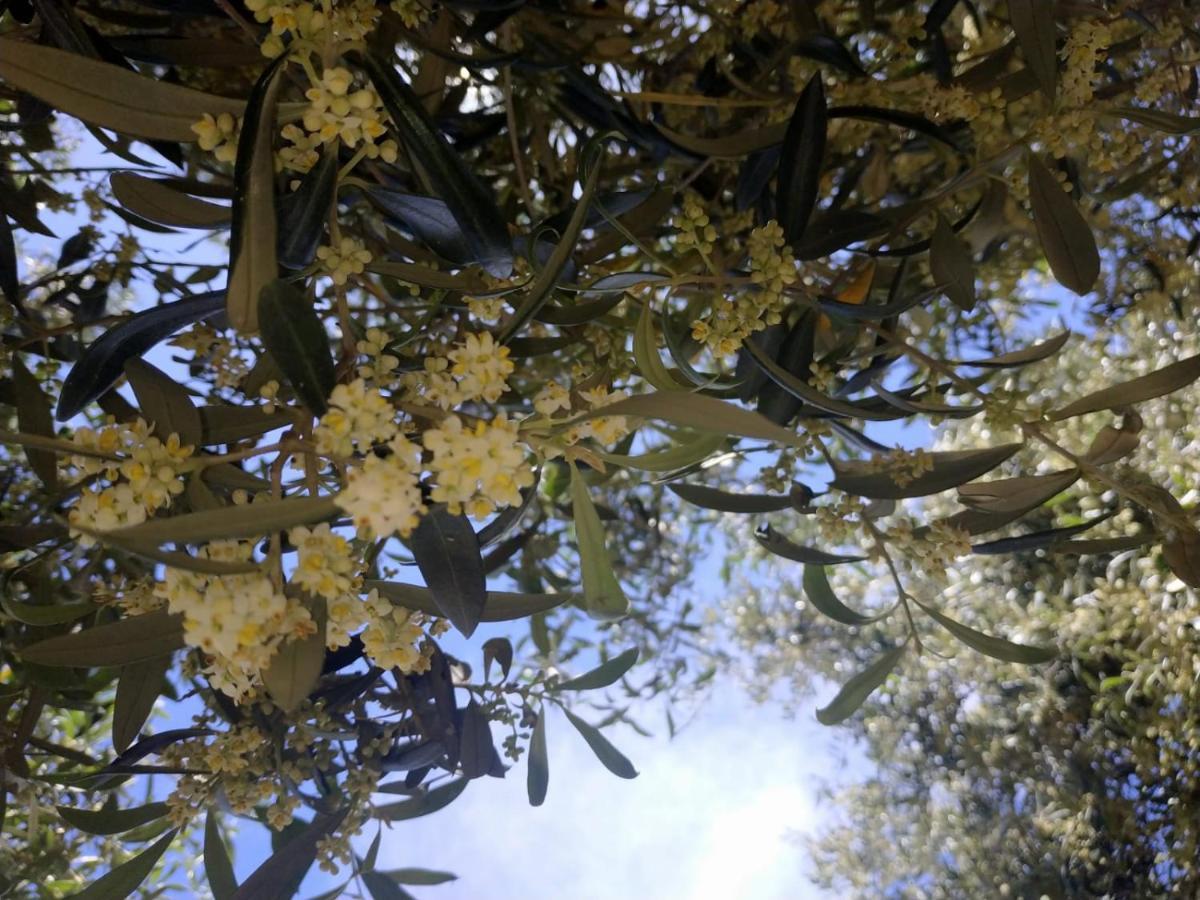 Vacanza In Ogliastra Tertenia Luaran gambar