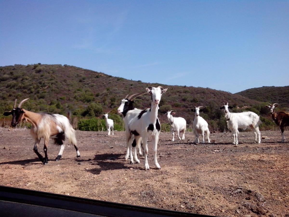 Vacanza In Ogliastra Tertenia Luaran gambar