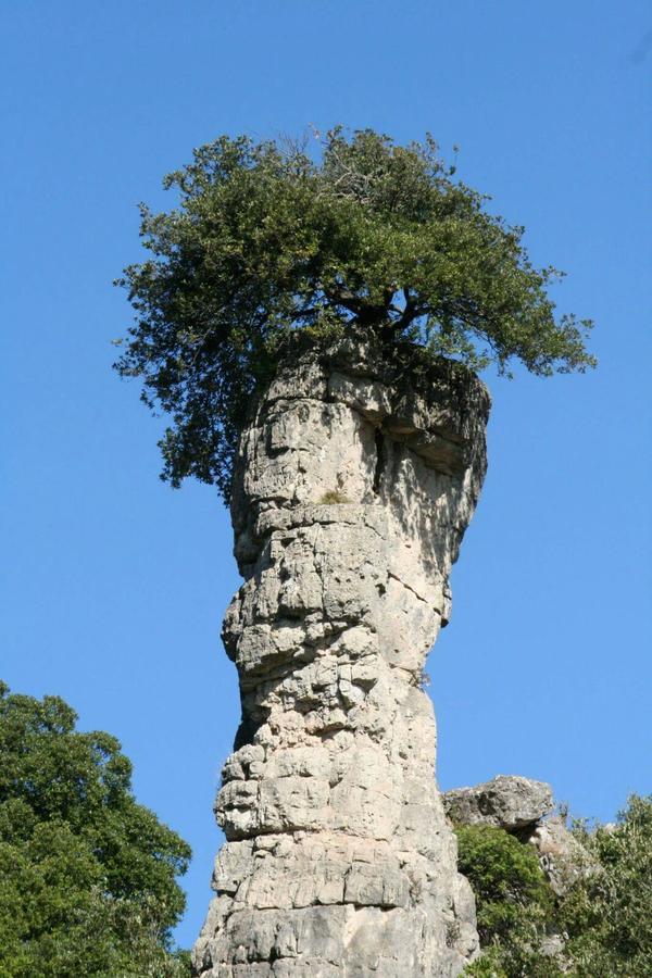 Vacanza In Ogliastra Tertenia Luaran gambar