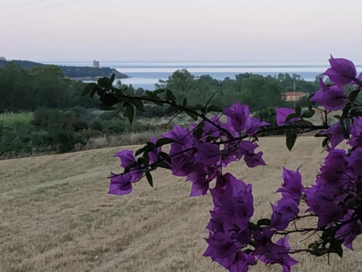 Vacanza In Ogliastra Tertenia Luaran gambar